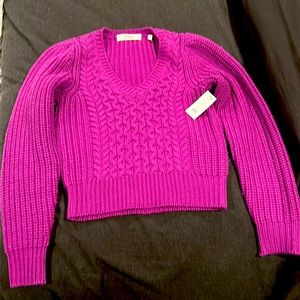 Joie Sweater Size XS color is Phlox/Purple